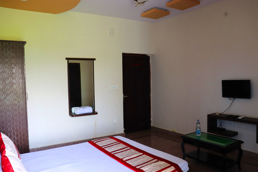 Shree Palace Room