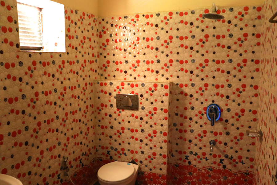 Shree Palace Room
